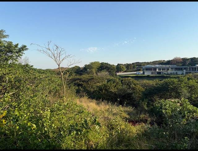 LAND FOR SALE IN ZINI RIVER ESTATE